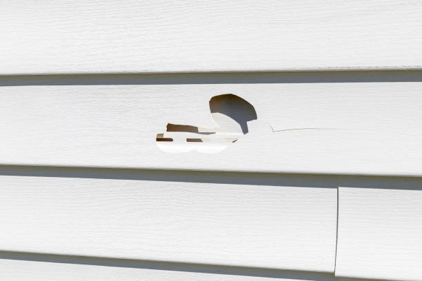 Best Vinyl Siding Installation  in Leadville North, CO