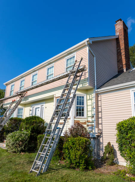 Best Vinyl Siding Installation  in Leadville North, CO