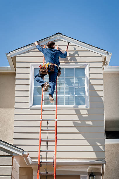 Best Siding Removal and Disposal  in Leadville North, CO