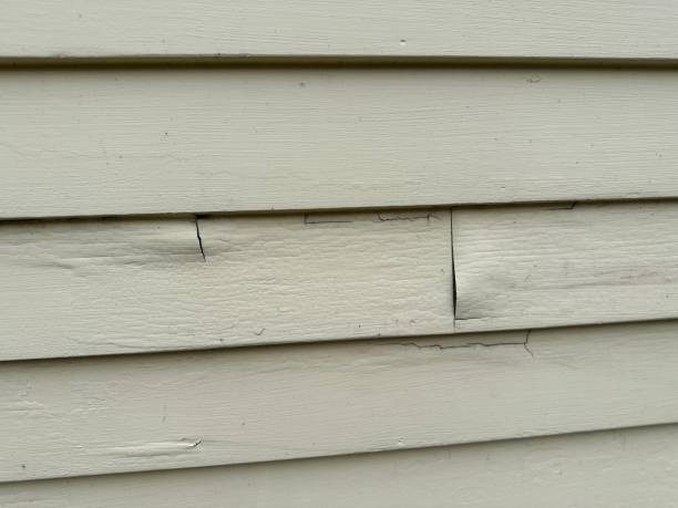 Best Engineered Wood Siding  in Leadville North, CO