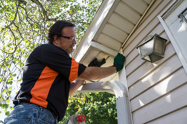 Best Steel Siding Installation  in Leadville North, CO